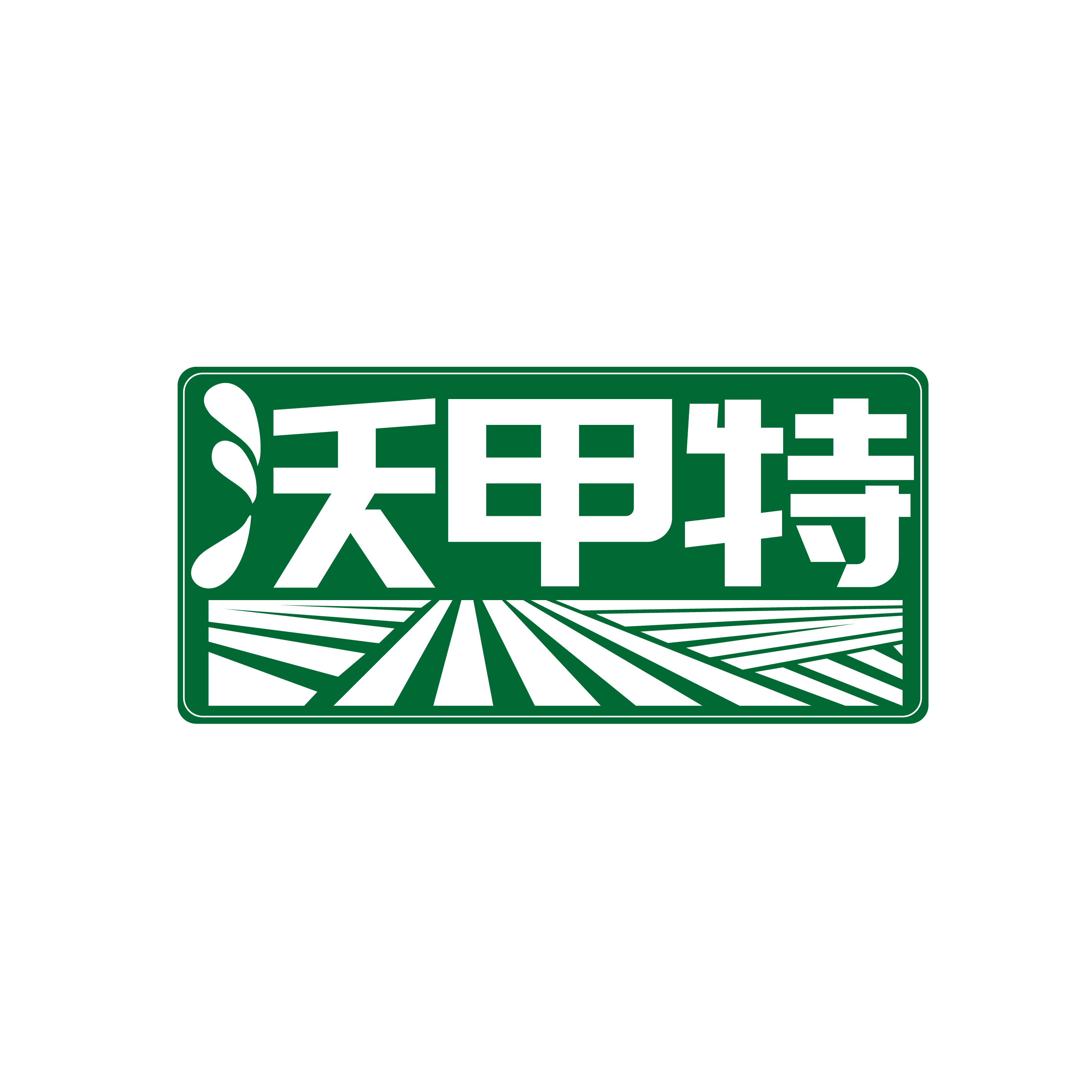 沃甲特